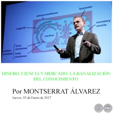 DINERO, CIENCIA Y MERCADO: LA BANALIZACIÓN DEL CONOCIMIENTO - Por MONTSERRAT ÁLVAREZ - Jueves, 05 de Enero de 2017